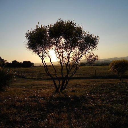Agriturismo Il Grillo Parlante Pitigliano Zewnętrze zdjęcie