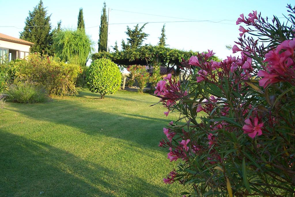 Agriturismo Il Grillo Parlante Pitigliano Zewnętrze zdjęcie