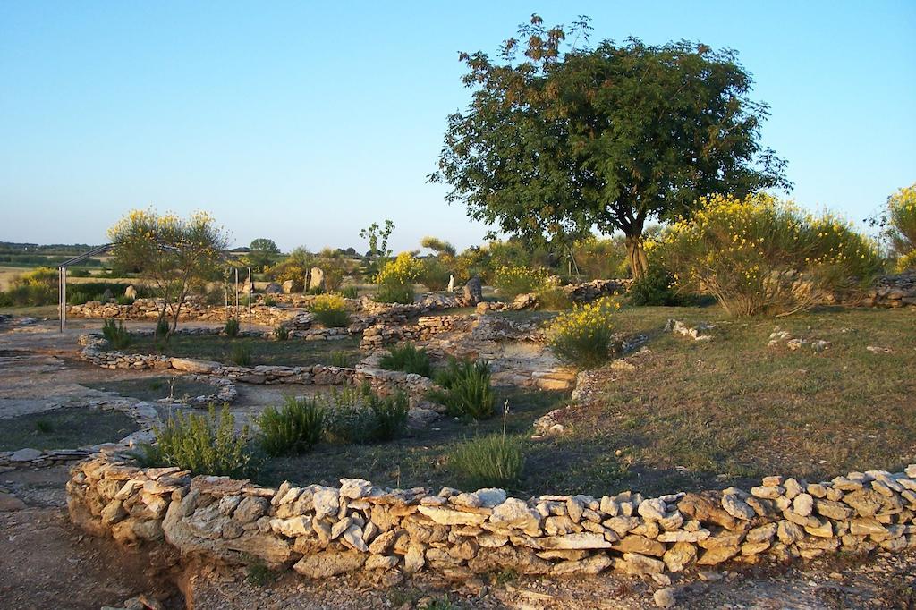 Agriturismo Il Grillo Parlante Pitigliano Zewnętrze zdjęcie