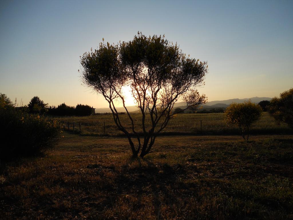 Agriturismo Il Grillo Parlante Pitigliano Zewnętrze zdjęcie