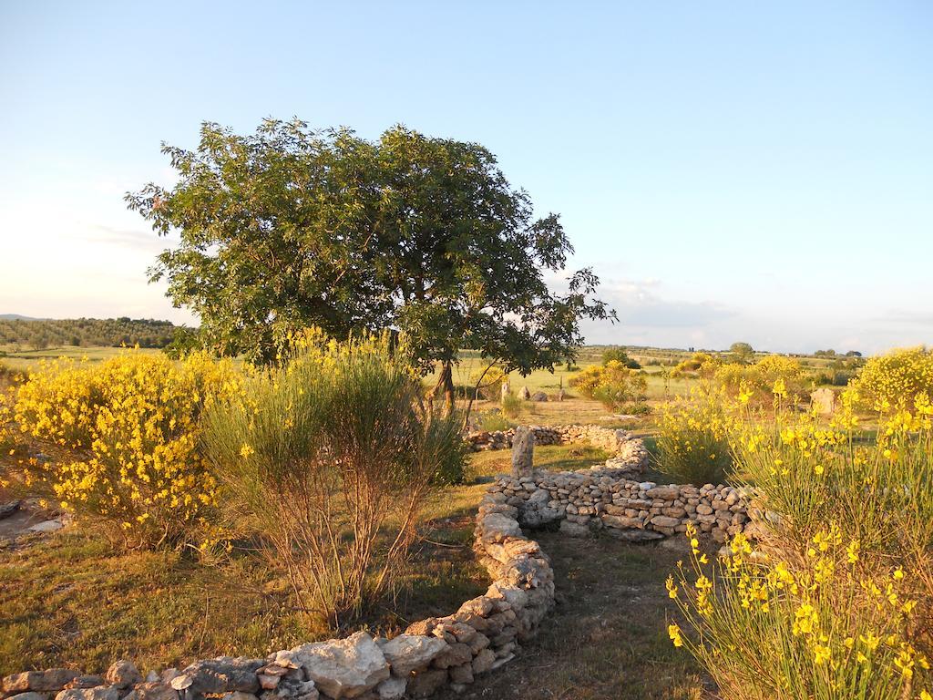 Agriturismo Il Grillo Parlante Pitigliano Zewnętrze zdjęcie