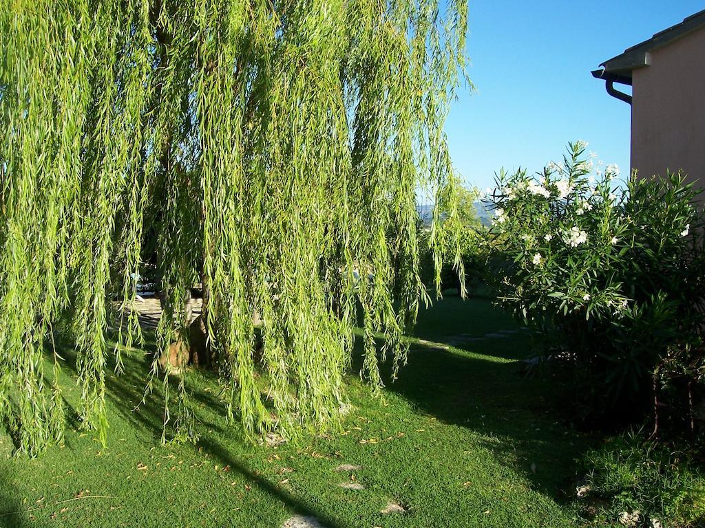 Agriturismo Il Grillo Parlante Pitigliano Zewnętrze zdjęcie
